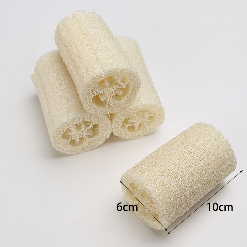 10cm Loofah and Soap Mold Kit  - Soap Making Starter Kit ulasan dan harga