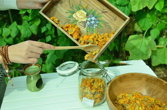 DIY Hand Making Soap Making Ba - Soap Making Starter Kit ulasan dan harga