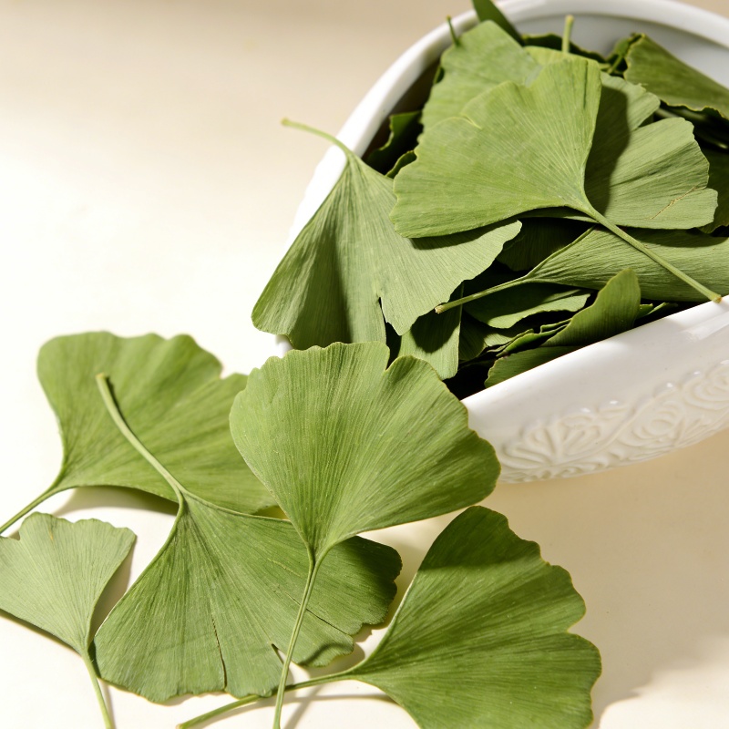 Quality Ginkgo Biloba Dried Le - Soap Making Essentials ulasan dan harga